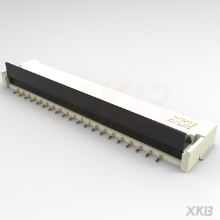 X10A20H04G-XKB Connectivity